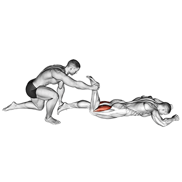 Assisted Prone Hamstring