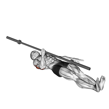 Barbell One Arm Floor Press