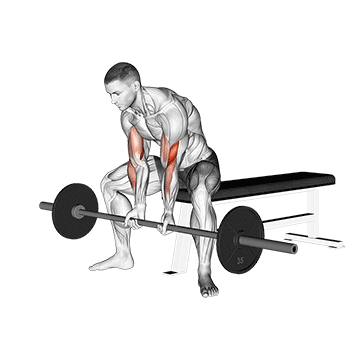 Barbell Seated Close-grip Concentration Curl