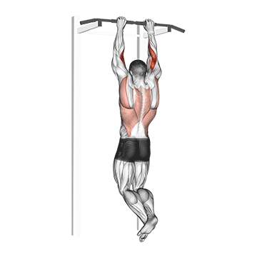 Biceps Pull-up