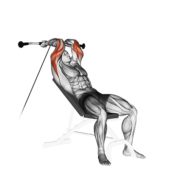Cable Incline Triceps Extension