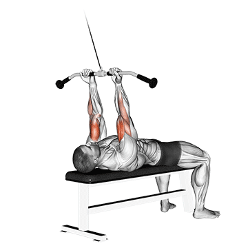 Cable Lying Close-grip Curl