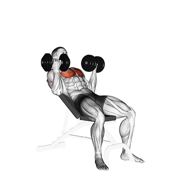 Dumbbell Incline Palm-in Press