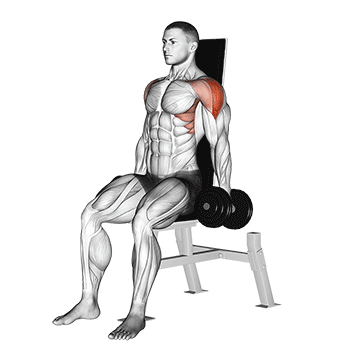 Dumbbell Seated Lateral Raise V. 2