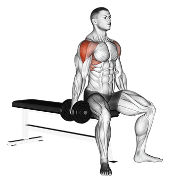 Dumbbell Seated Lateral Raise