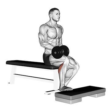 Dumbbell Seated One Leg Calf Raise