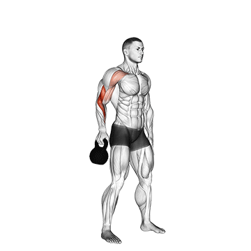 Kettlebell Bottoms Up Clean From The Hang Position