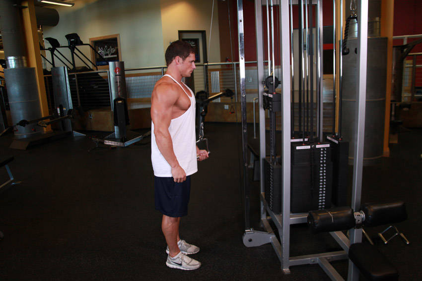 Cable One Arm Tricep Extension