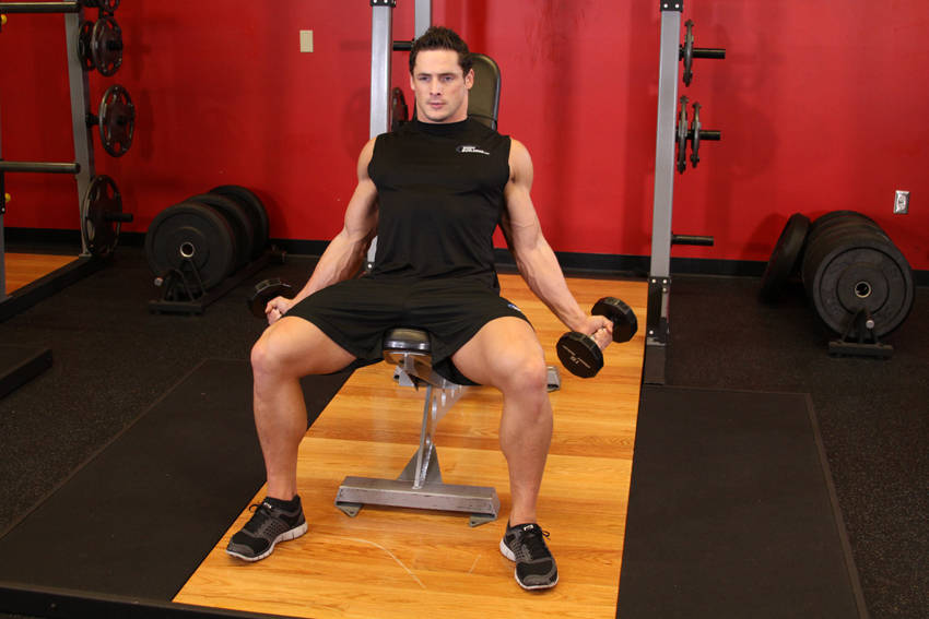 Incline Inner Biceps Curl