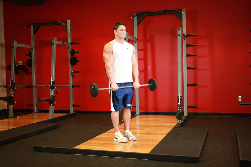Reverse Barbell Curl