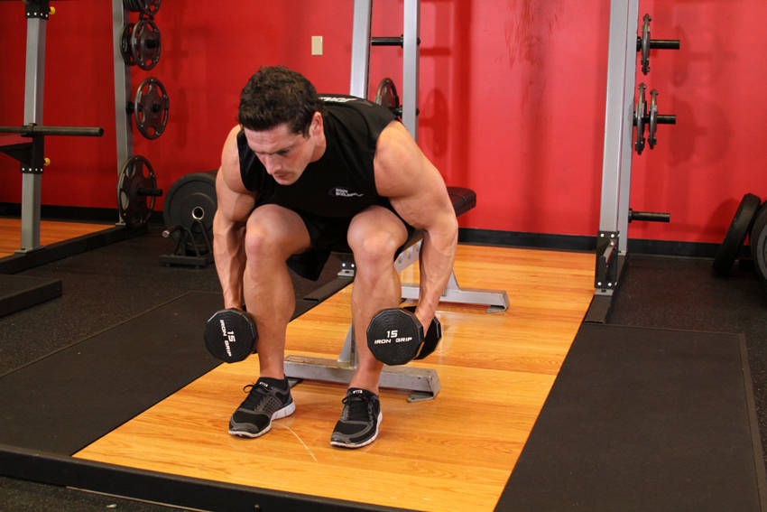Seated Bent-over Rear Delt Raise