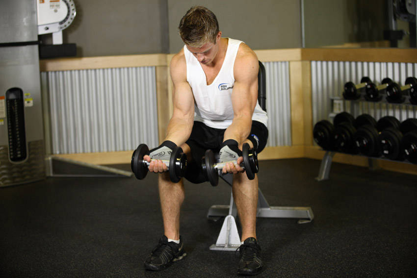 Seated Dumbbell Palms-up Wrist Curl