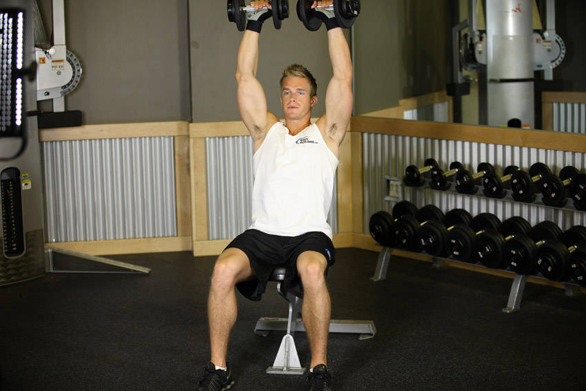 Seated Dumbbell Press
