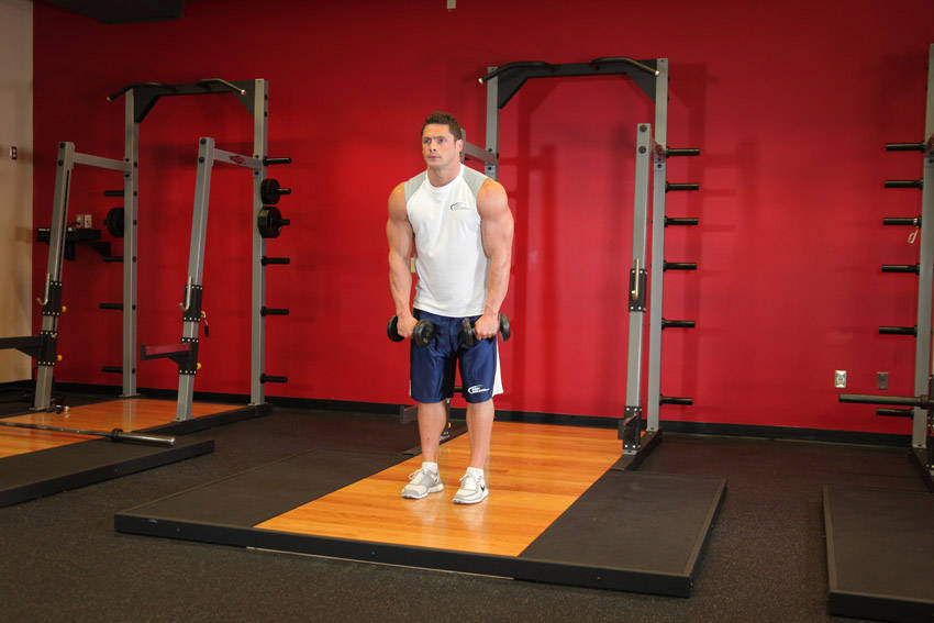 Standing Dumbbell Straight-arm Front Delt Raise Above Head