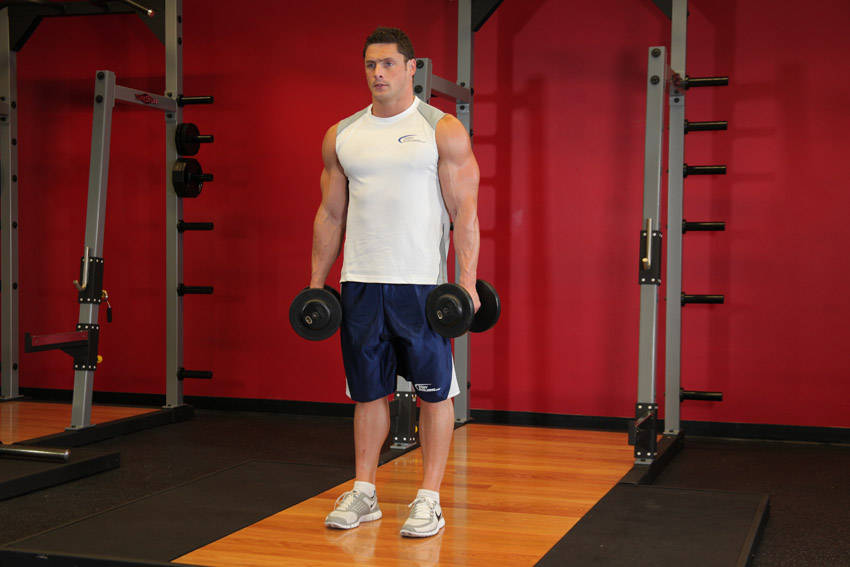 Standing Inner-biceps Curl