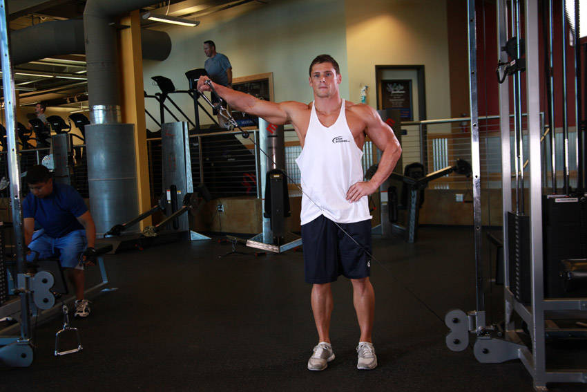Standing Low-pulley Deltoid Raise