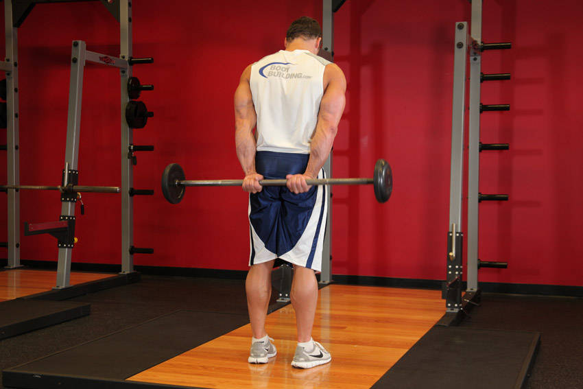 Standing Palms-up Barbell Behind The Back Wrist Curl