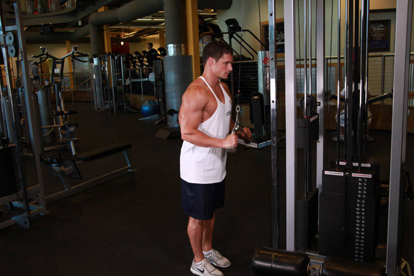 Triceps Pushdown - V-bar Attachment