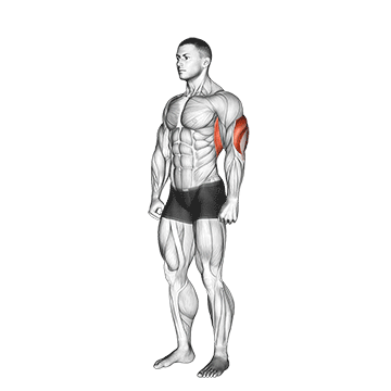 Overhead Triceps Stretch