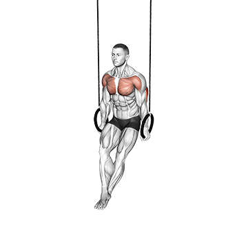 Ring Dips