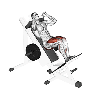 Sled Closer Hack Squat