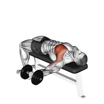 Dumbbell One Arm Bench Fly