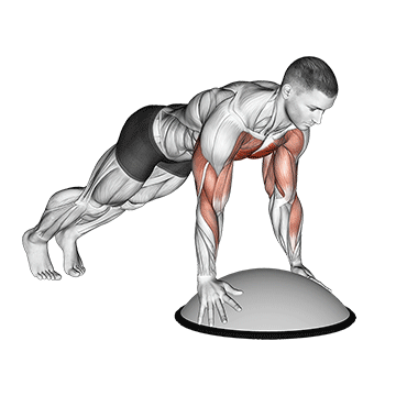 Push Up On Bosu Ball