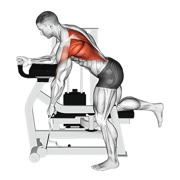 Lever Unilateral Row