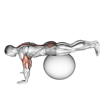 Exercise Ball Prone Leg Raise