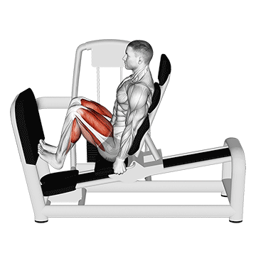 Lever Seated Squat Calf Raise On Leg Press Machine