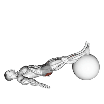 Exercise Ball One Legged Diagonal Kick Hamstring Curl