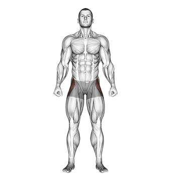It Band And Glute Stretch Vs Straight Leg Outer Hip Abductor Which Is It Band And Glute Stretch Vs Straight Leg Outer Hip Abductor Which Is