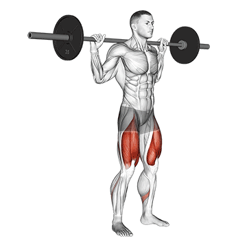 Barbell High Bar Squat