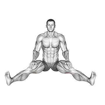 Seated Wide Angle Pose Sequence