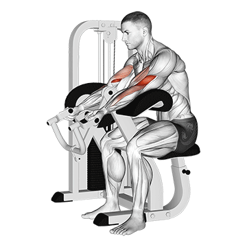 Lever Preacher Curl V. 2