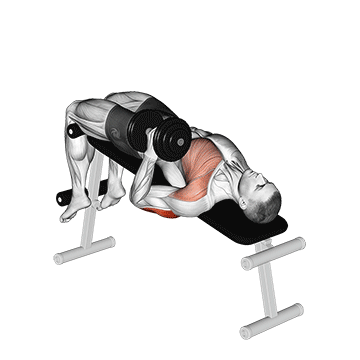 Dumbbell Decline One Arm Hammer Press