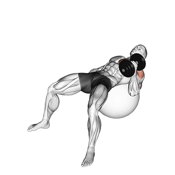 Dumbbell One Arm Hammer Press On Exercise Ball