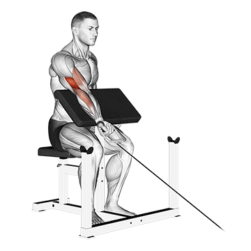 Cable One Arm Preacher Curl