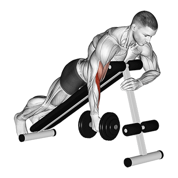 Dumbbell One Arm Prone Hammer Curl