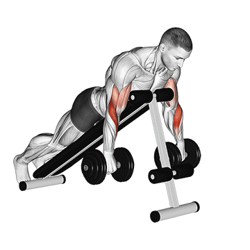 Dumbbell Reverse Spider Curl