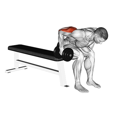 Dumbbell Seated Bent Over Triceps Extension