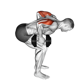Dumbbell Standing Bent Over Two Arm Triceps Extension