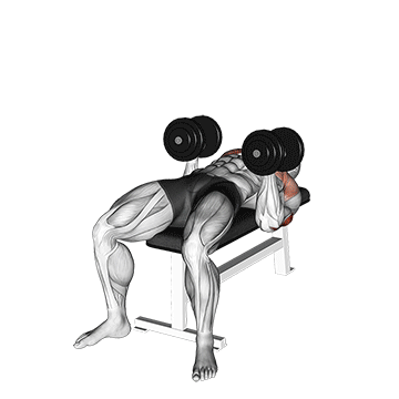 Dumbbell Twisting Bench Press