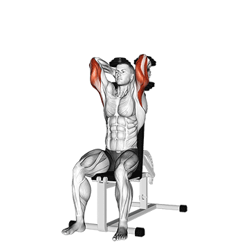 Dumbbells Seated Triceps Extension