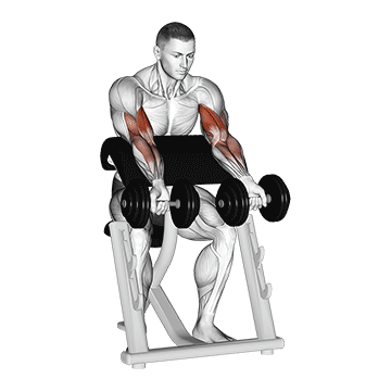 Dumbbell Zottman Preacher Curl
