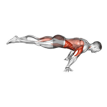 Full Planche Push-up