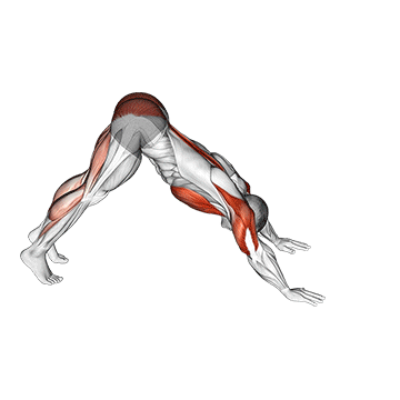 Pike-to-cobra Push-up