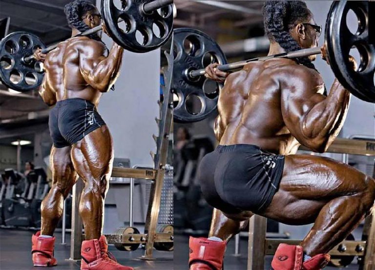 The Squat Vs The Leg Press Which Exercise Reigns Supreme