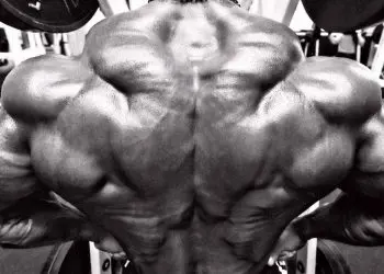 Back Training 101: Build Your Back