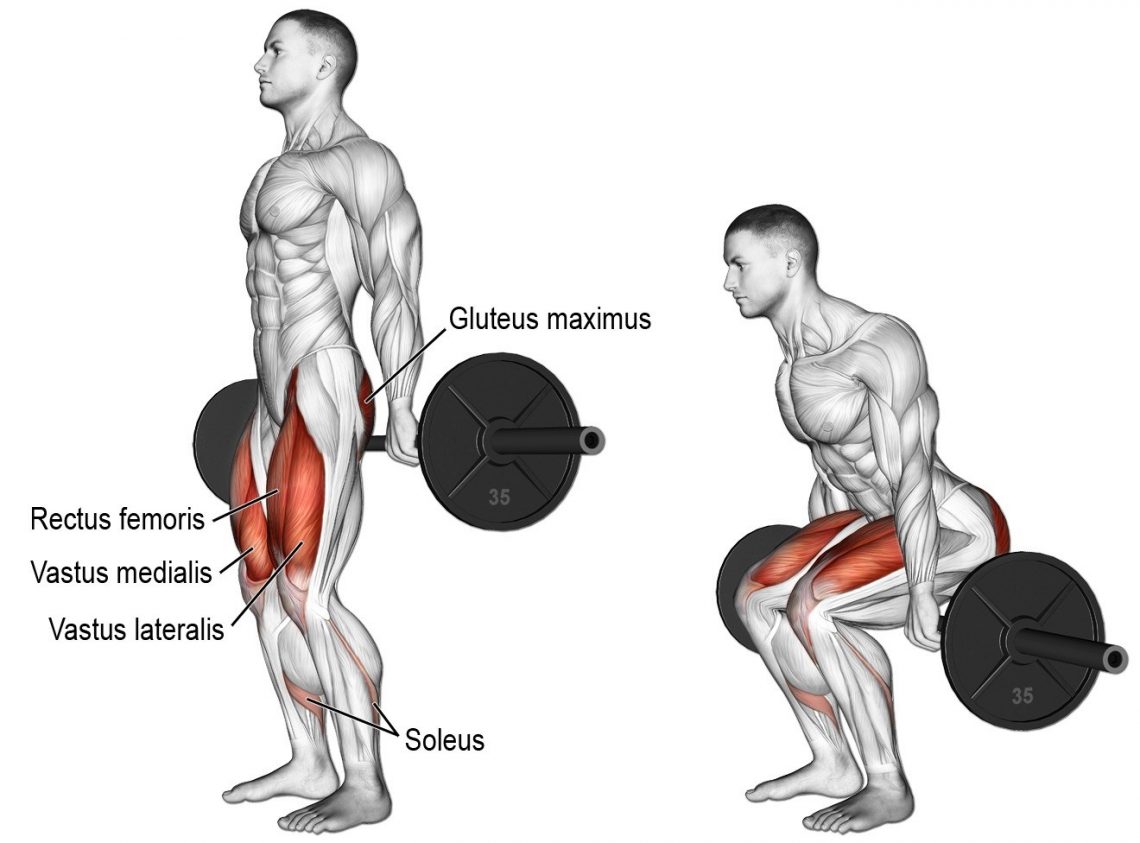 The Best Hack Squat Alternative For Bigger Stronger Legs Fitness Volt